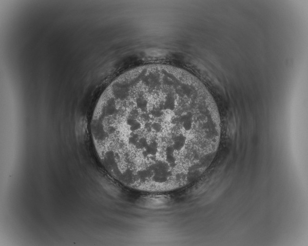 X0000111140711200907141321