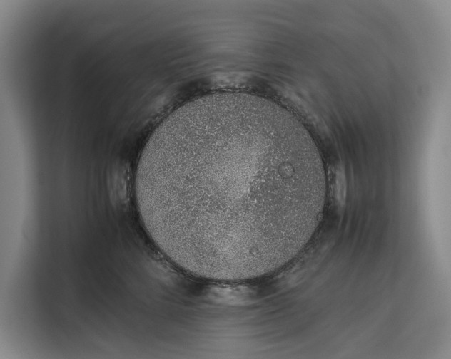 X0000111140712200907141321