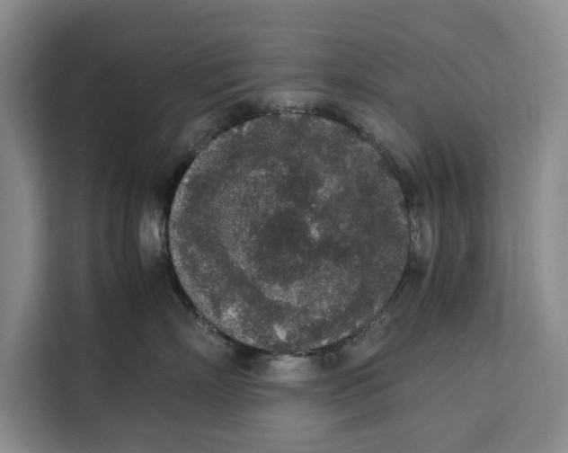 X0000111140718200907141321