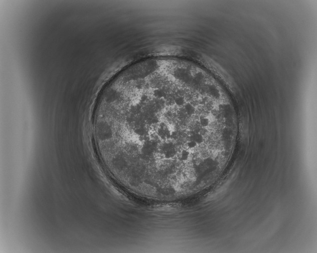 X0000111140721200907141321