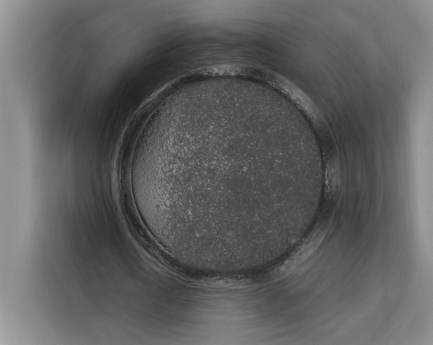 X0000111140722200907141321