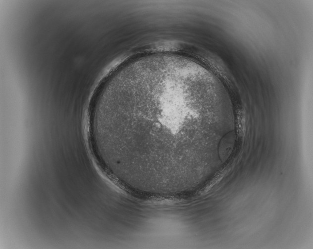 X0000111140726200907141321