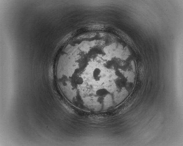 X0000111140729200907141321