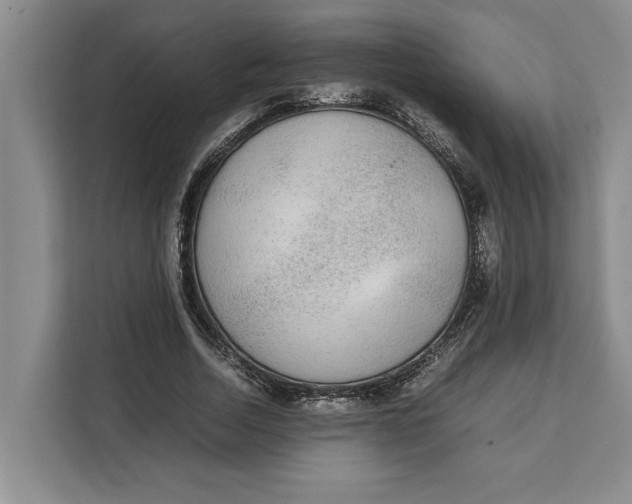 X0000111140730200907141321