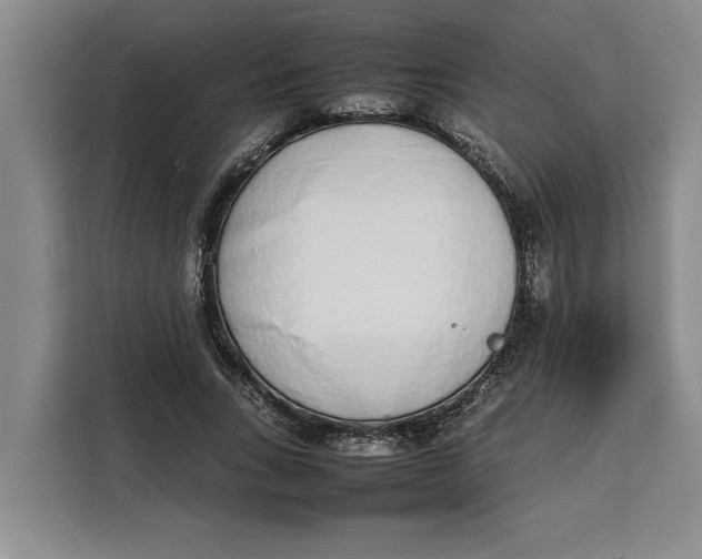 X0000111140735200907141321