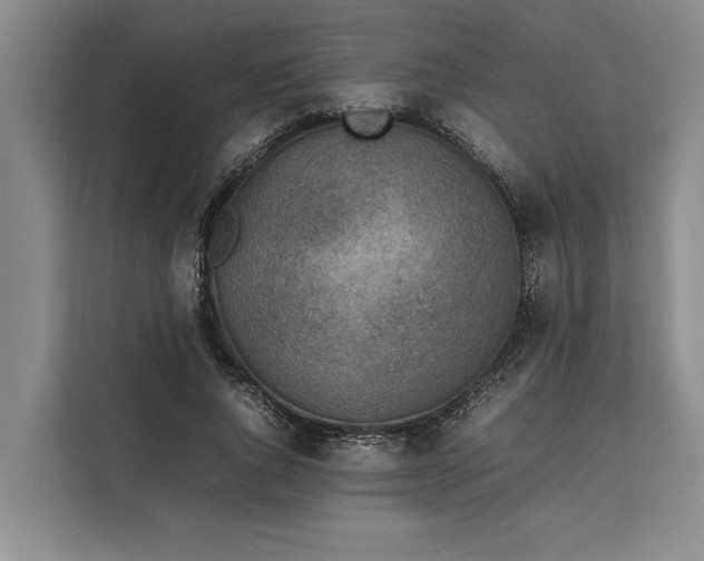 X0000111140736200907141321