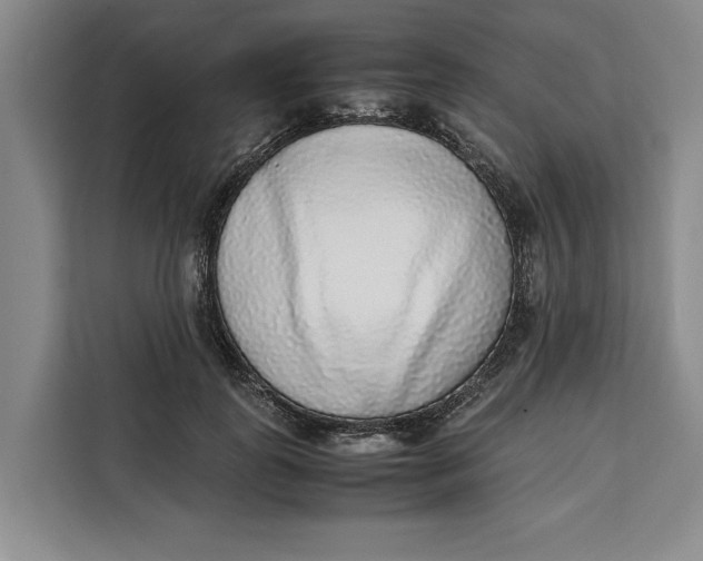 X0000111140747200907141321