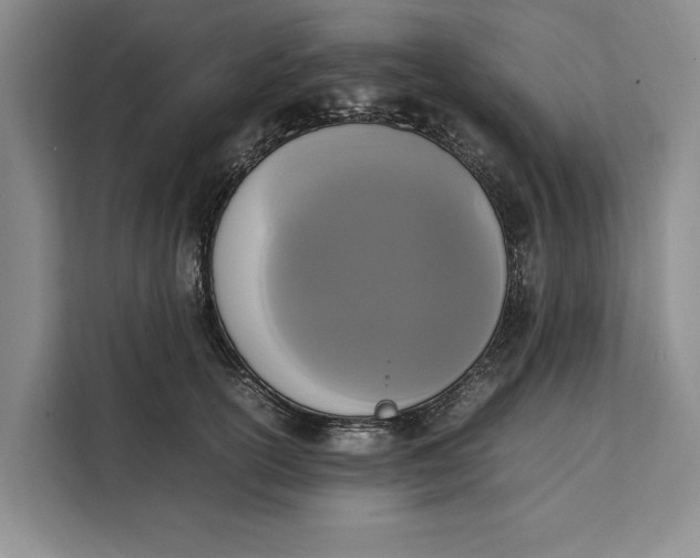 X0000111140754200907141321