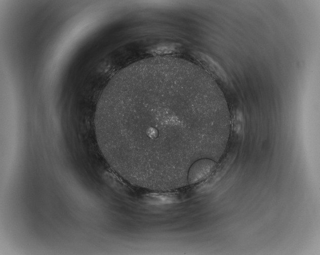 X0000111140763200907141321