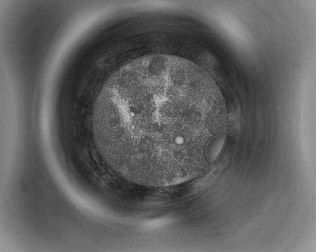 X0000111140765200907141321