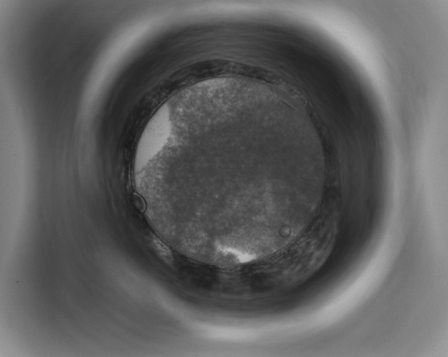 X0000111140766200907141321