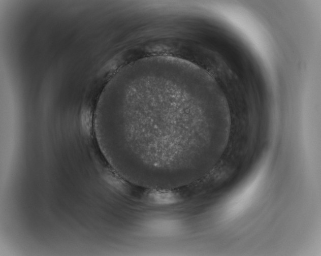 X0000111140767200907141321