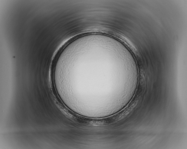 X0000111140788200907141320