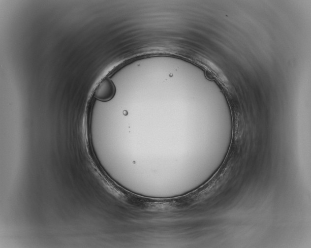 X0000111140796200907141320