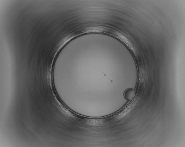 X0000111140802200907141320