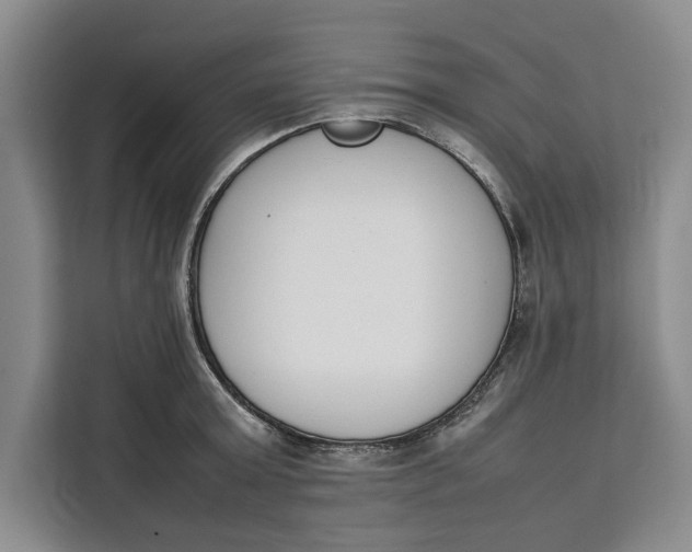 X0000111140803200907141320