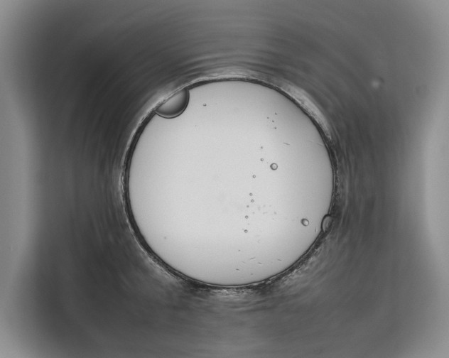 X0000111140805200907141320