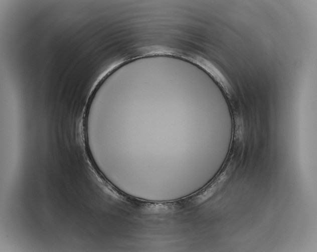 X0000111140806200907141320