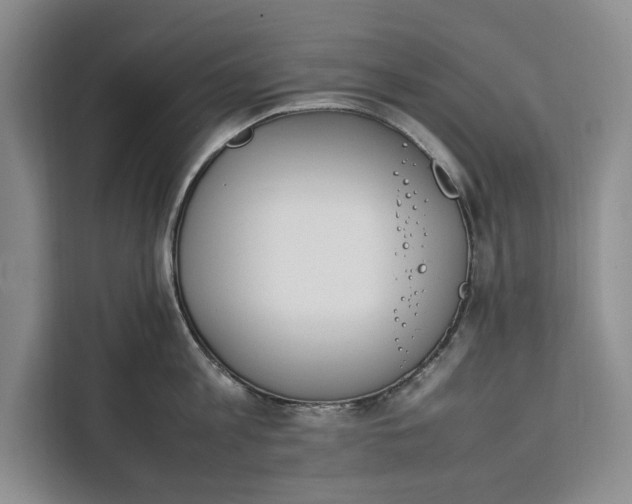 X0000111140813200907141320