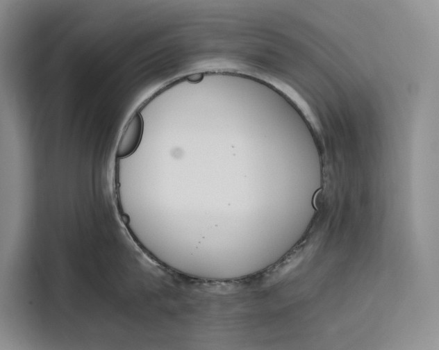 X0000111140815200907141320