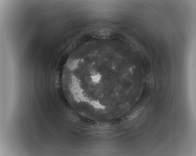 X0000111140818200907141319