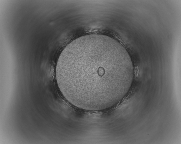 X0000111140820200907141319