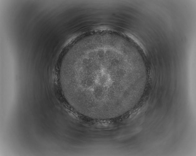 X0000111140823200907141319