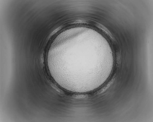 X0000111140826200907141319