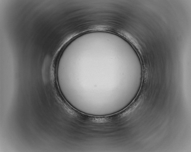 X0000111140835200907141320