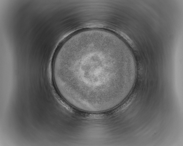 X0000111140840200907141320