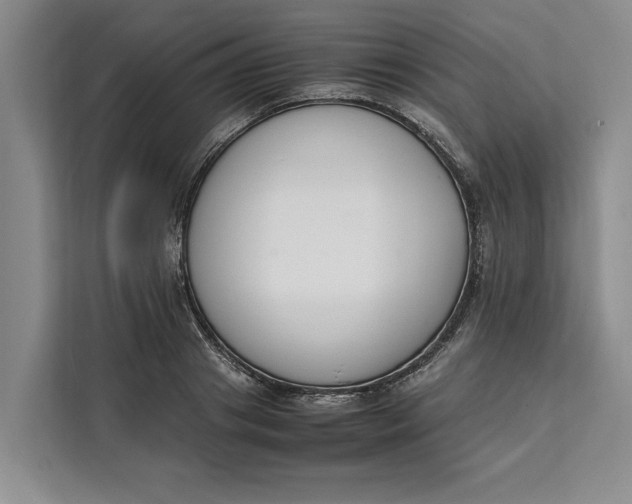 X0000111140841200907141320