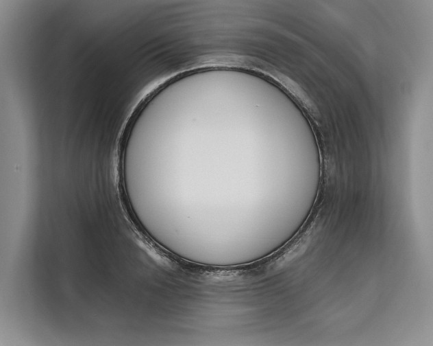 X0000111140846200907141320