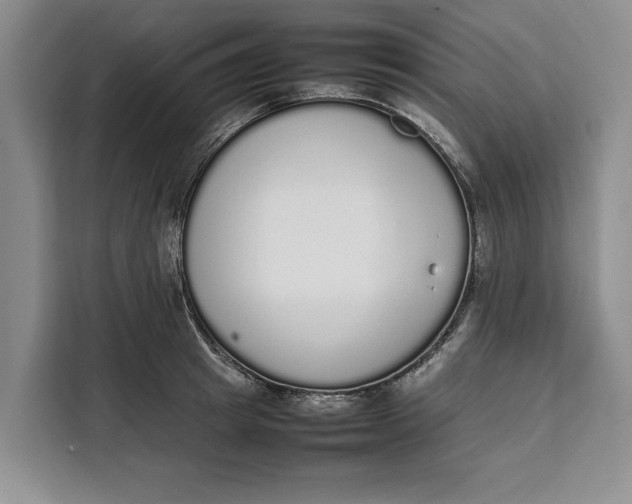 X0000111140849200907141320