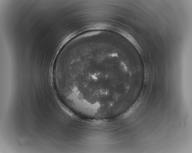 X0000111140850200907141320