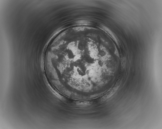 X0000111140851200907141320