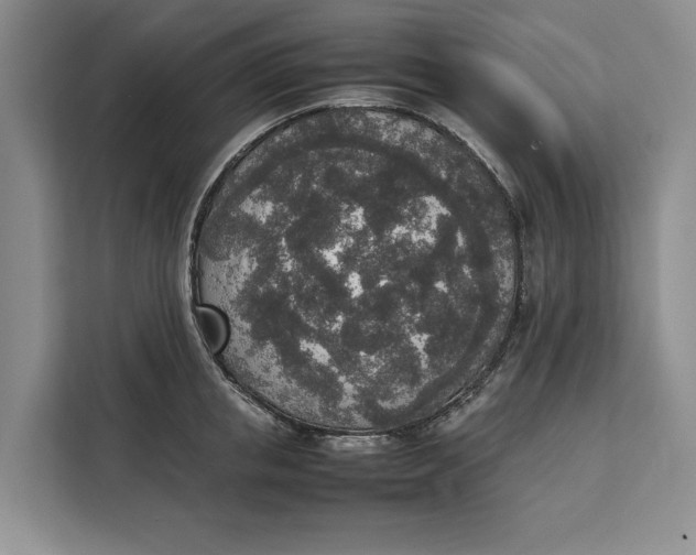 X0000111140853200907141320