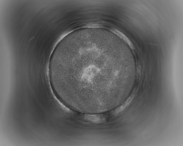 X0000111140855200907141320