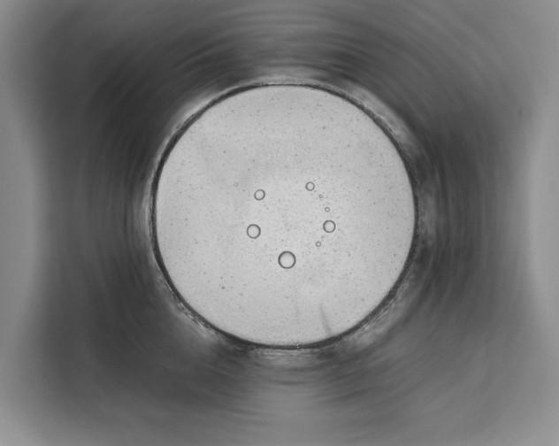 X0000111140856200907141320