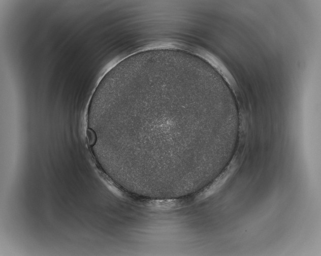 X0000111140858200907141320