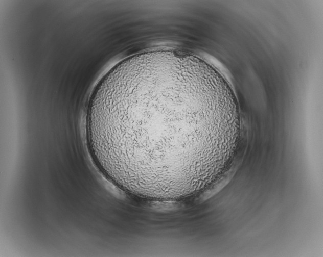 X0000111140859200907141320