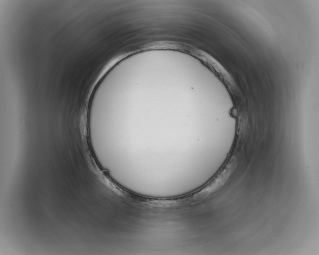 X0000111140860200907141320