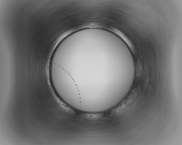 X0000111140861200907141320