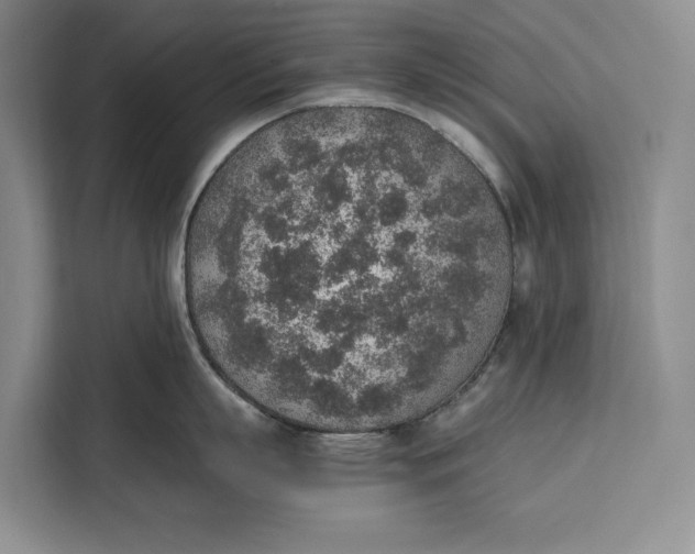 X0000111140863200907141320