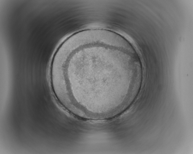 X0000111140864200907141320