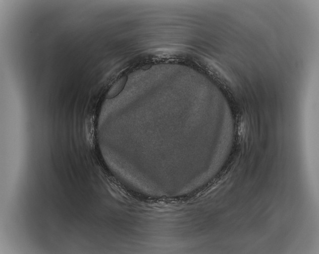 X0000111140868200907141319