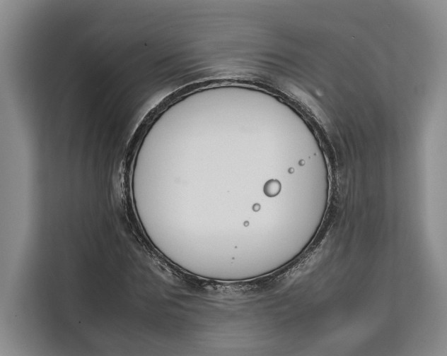 X0000111140875200907141319