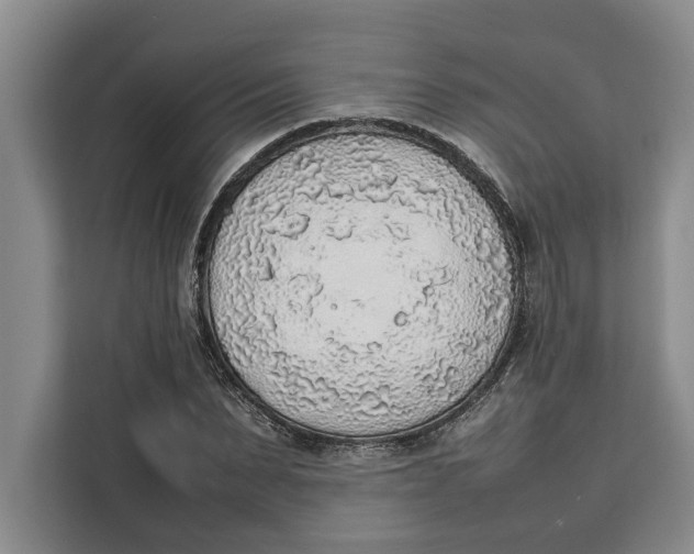 X0000111140879200907141319