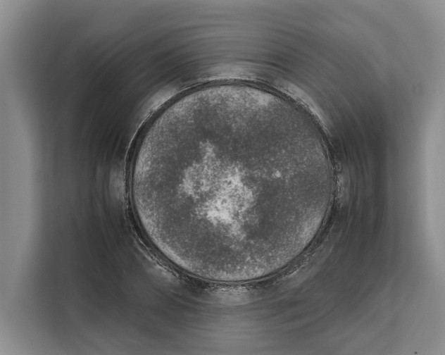 X0000111140882200907141319