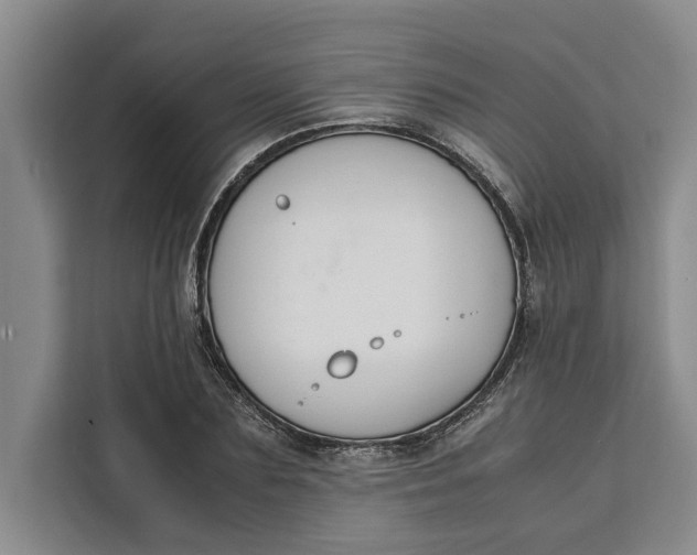 X0000111140883200907141319