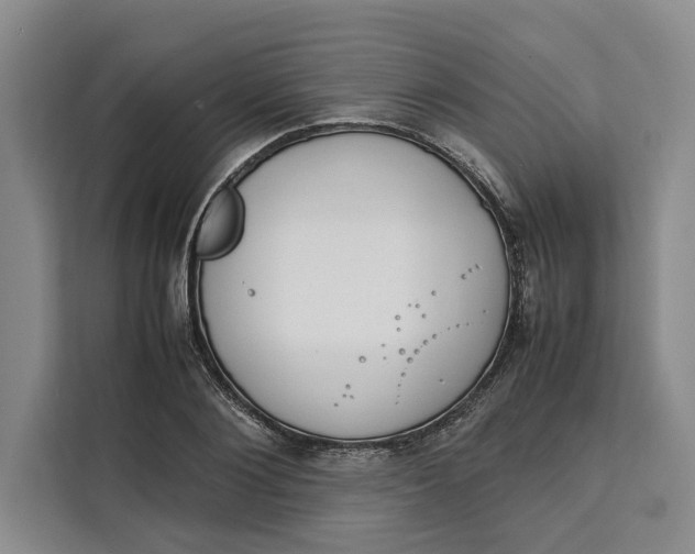 X0000111140884200907141319